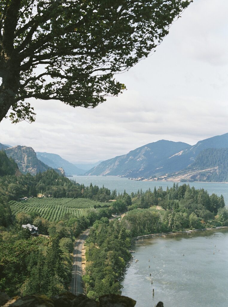 Cliffside Ceremony at The Griffin House Overlooking the Gorge