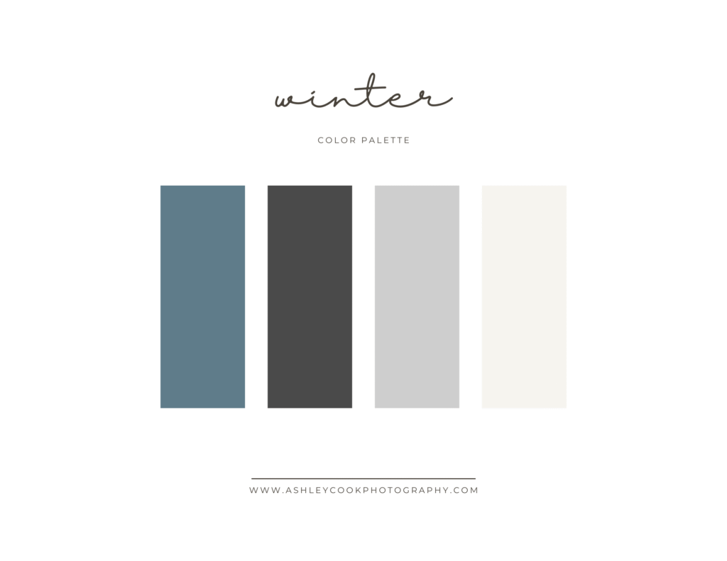 winter family pictures color scheme with steel blue, gray, charcoal and ivory